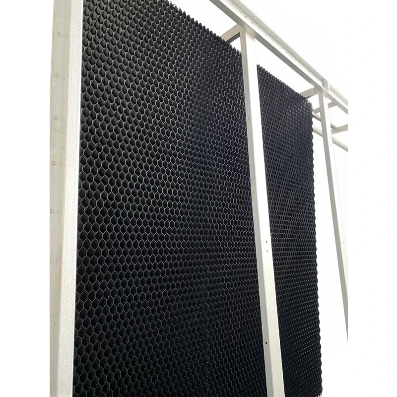 product-800-800